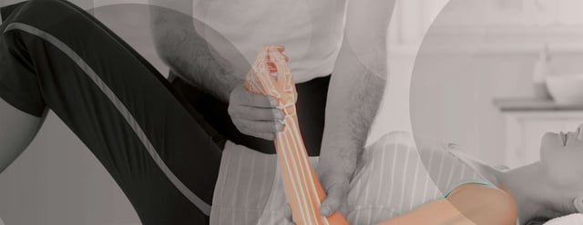 banner-3