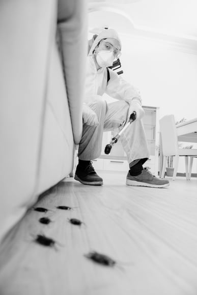 a4189017-e017-414e-91e3-0b851f11490e